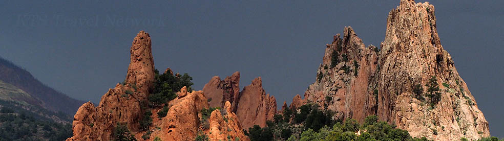 �R�����h �f���o�[�@�ό����@ �y�j�s�r�g���x���l�b�g���[�N�z- �}�E���g�G�o���X���H