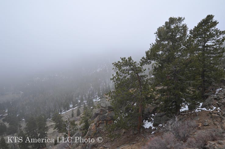 ���j�[�p�[�N�X�W�]�|�C���g