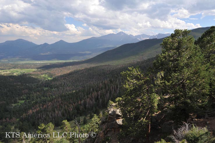 ���j�[�p�[�N�X�W�]�|�C���g