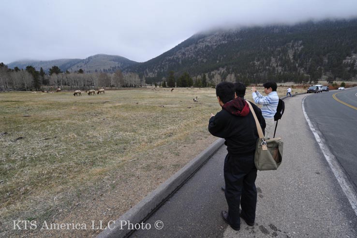 ���h�[�ɏW�܂�G���N�厭�̌Q����B�e����F����