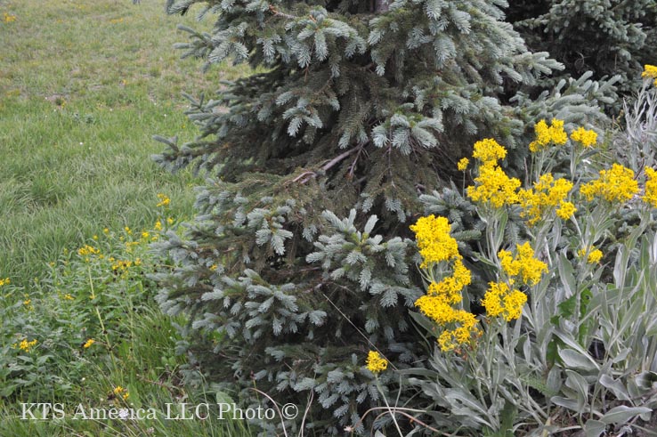 �g�E�q�̎��Ɩ쑐