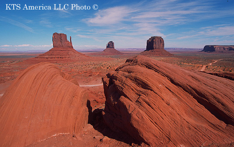 ���j�������g�o���[ �i�o�z�g���C�o���p�[�N