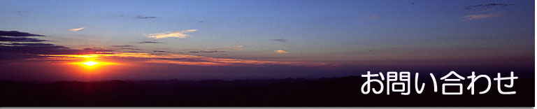 �y�j�s�r�g���x���l�b�g���[�N�z