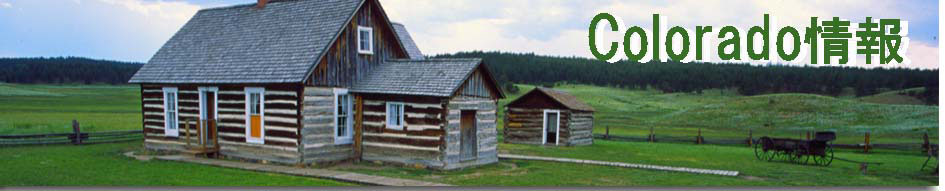 �y�j�s�r�g���x���l�b�g���[�N�z