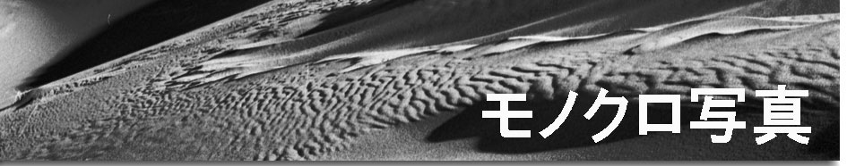 �y�j�s�r�g���x���l�b�g���[�N�z