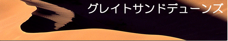 �y�j�s�r�g���x���l�b�g���[�N�z