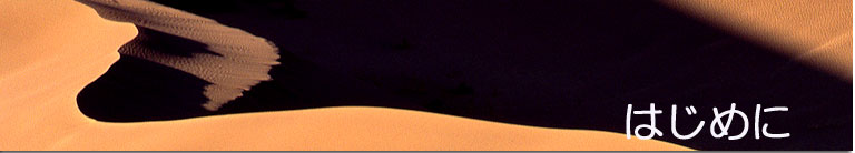 �y�j�s�r�g���x���l�b�g���[�N�z