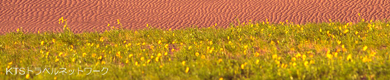 ���r���� �ʐ^ Kiyomichi Koike Photography