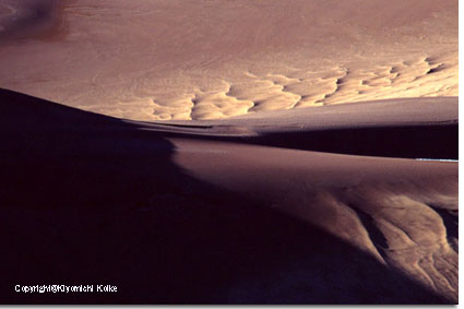 �e�������オ�点��f���[���Y�̖��f�I����