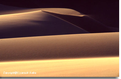 �[���𗁂тăV���h�[������B�����𕑂��グ�镗�B