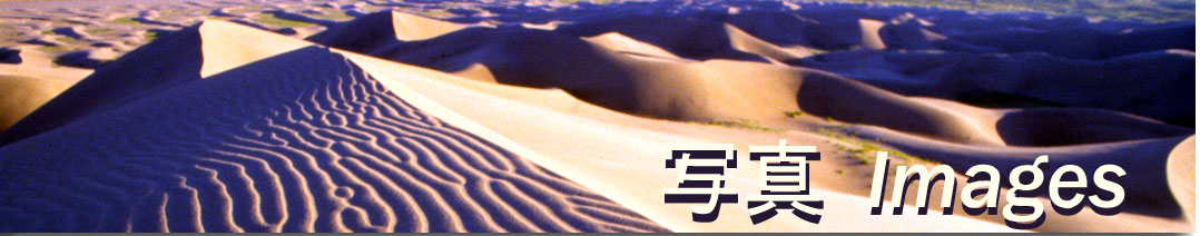 ���r���� �ʐ^ Kiyomichi Koike Photography