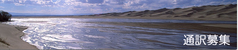 �y�j�s�r�g���x���l�b�g���[�N�z