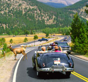 �I�v�V�����c�A�[�̂��ē�