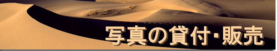 �y�j�s�r�g���x���l�b�g���[�N�z