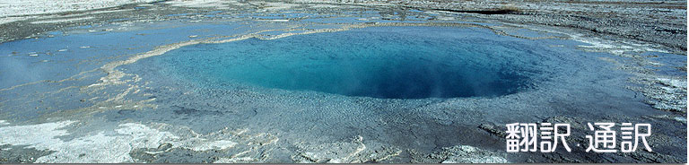 �y�j�s�r�g���x���l�b�g���[�N�z