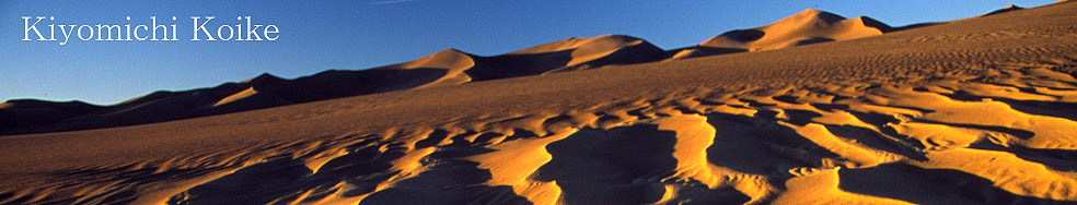 �R�����h �ʐ^�� �y���r ���ʁz