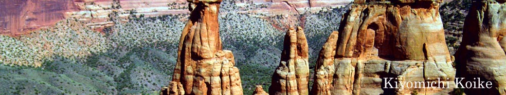 �R�����h �ʐ^�� �G�b�Z�C�y���r ���ʁz