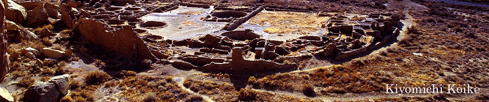 �R�����h �ʐ^�� �y���r ���ʁz