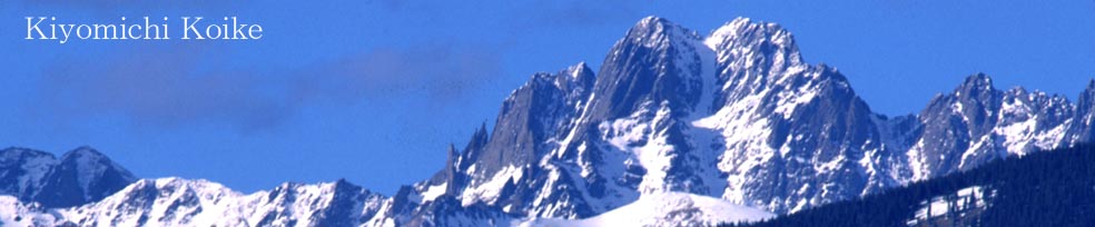 �R�����h �ʐ^�� �y���r ���ʁz