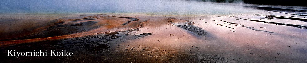 �R�����h �ʐ^�� �y���r ���ʁz