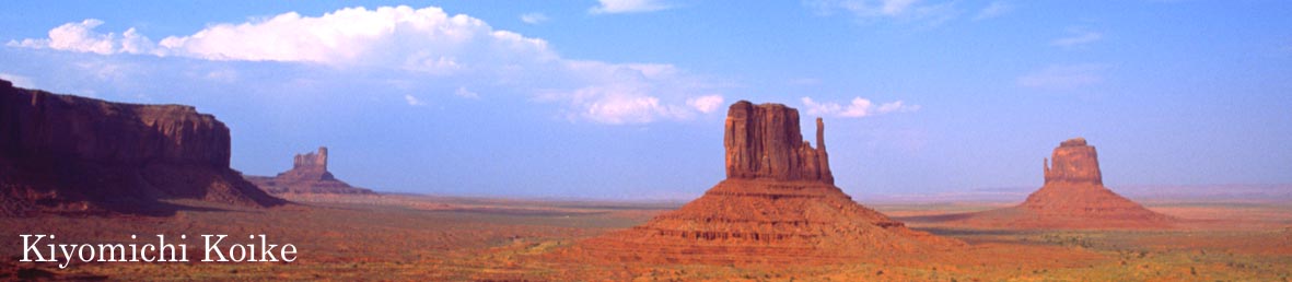 �l�C�`���[�t�H�g�y���r ���ʁz