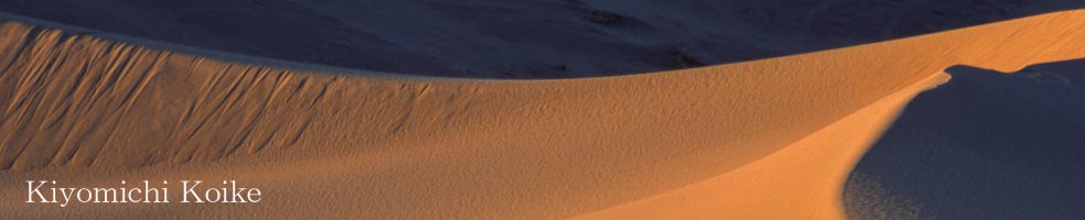 �R�����h �ʐ^�� �y���r ���ʁz- ���^�B�L���j�I�������Y�������������T�A�[�`