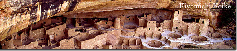 �R�����h �ʐ^�� �y���r ���ʁz