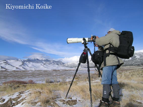 2011�N2��7���B�e���i