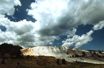 �}�����X�z�b�g�X�v�����O�X�e���X