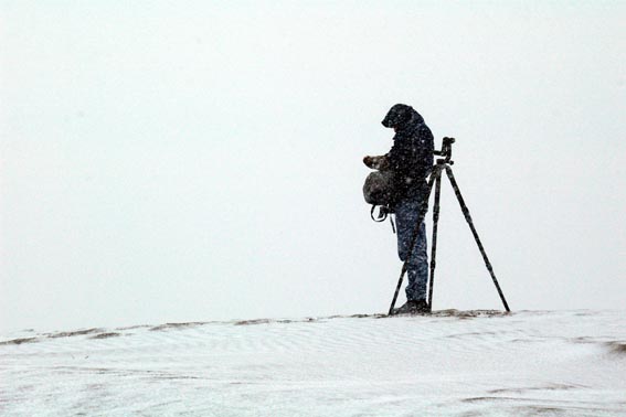 ����Ɋ������܂�� - 2008�N2��