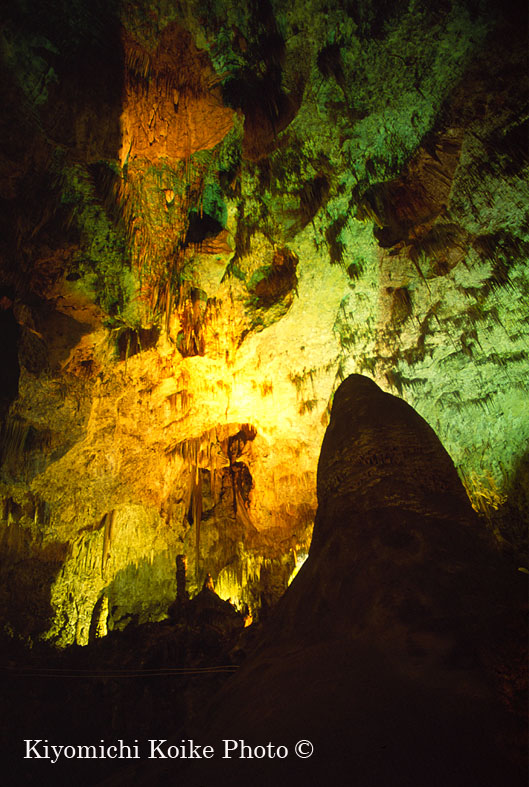 �J�[���Y�o�b�h���A�Q�������� - Carlsbad Caverns National Park