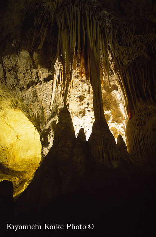 �J�[���Y�o�b�h���A�Q�������� - Carlsbad Caverns National Park