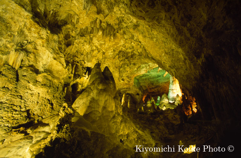 �J�[���Y�o�b�h���A�Q�������� - Carlsbad Caverns National Park