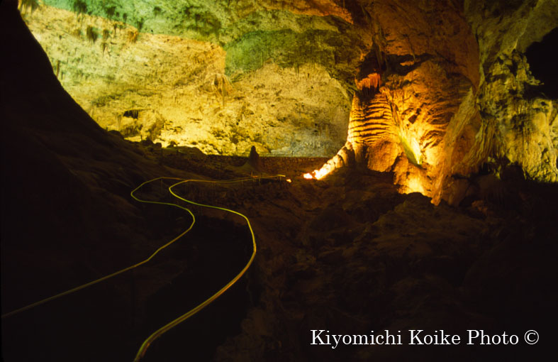 �J�[���Y�o�b�h���A�Q�������� - Carlsbad Caverns National Park