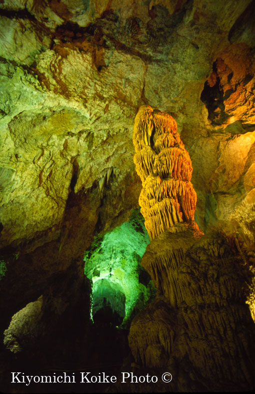 �J�[���Y�o�b�h���A�Q�������� - Carlsbad Caverns National Park
