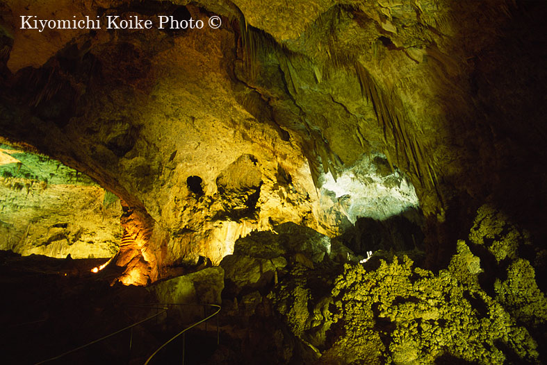 �J�[���Y�o�b�h���A�Q�������� - Carlsbad Caverns National Park
