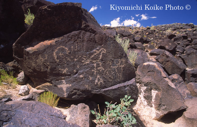 �y�g���O���t������� - Petroglyph National Monument