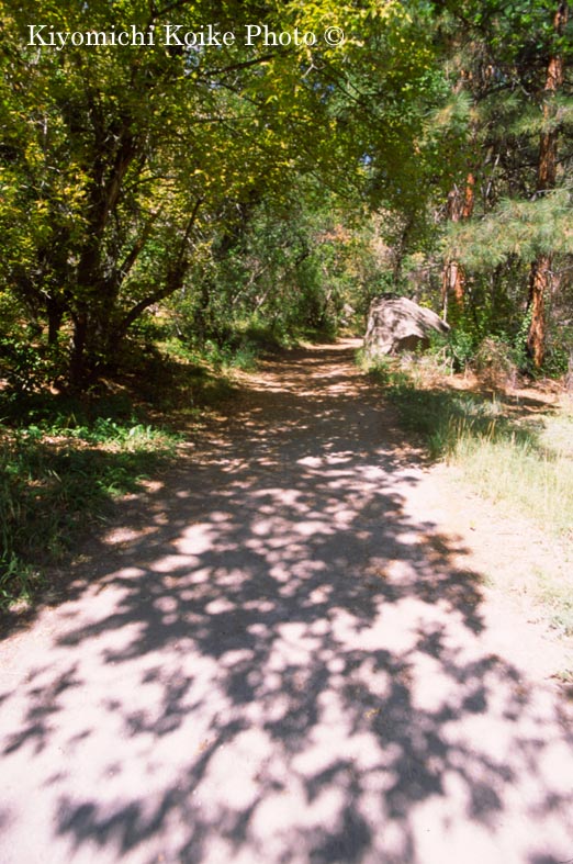 �o���f���A��������@Bandelier National Park