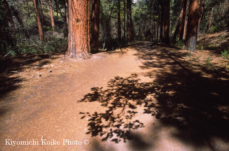 �o���f���A��������@Bandelier National Park