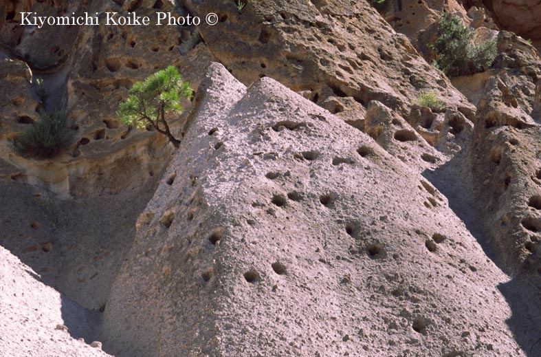 �o���f���A��������@Bandelier National Park