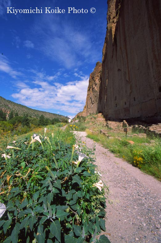 �o���f���A��������@Bandelier National Park