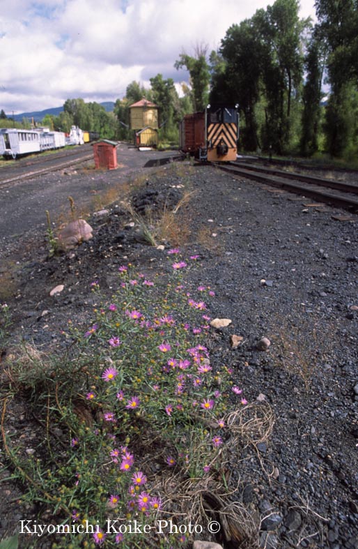 �J���u���X & �g���e�b�N �V�[�j�b�N�S�� - Cumbres & Toltec Scienic Railroad