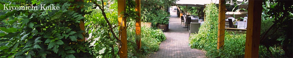 �f�������S�V���o�[�g���S���@�R�����h �y���r���ʁz