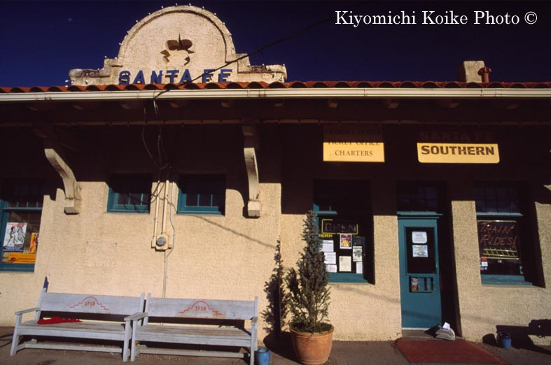 �T���^�t�F�S���w