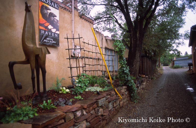 �L���j�I���ʂ�̃M�������[