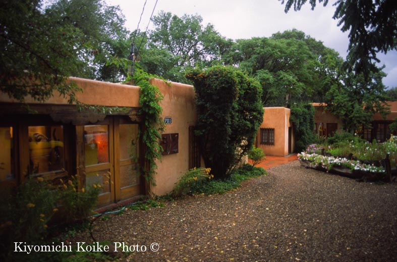 �L���j�I���ʂ�̃M�������[