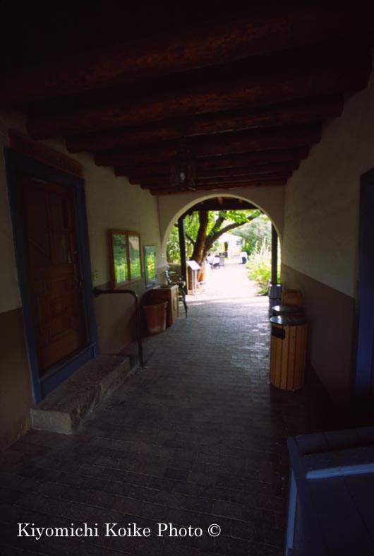 �v���U�t�߂̂��X�̒���