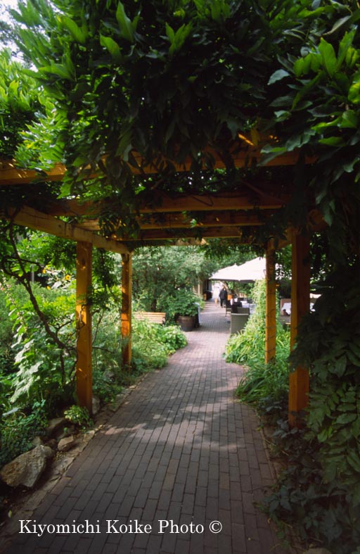 �v���U�t�߂̂��X�̒���