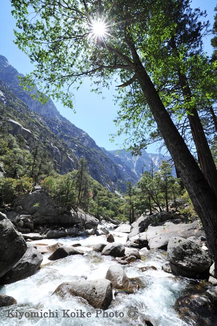 Kings Canyon National Park