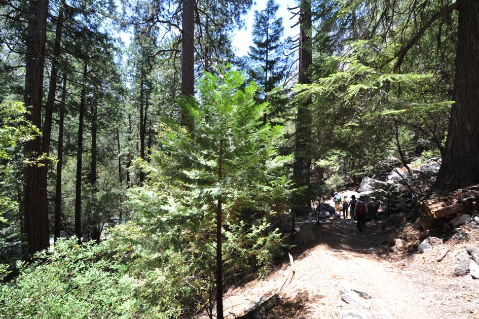 Kings Canyon National Park